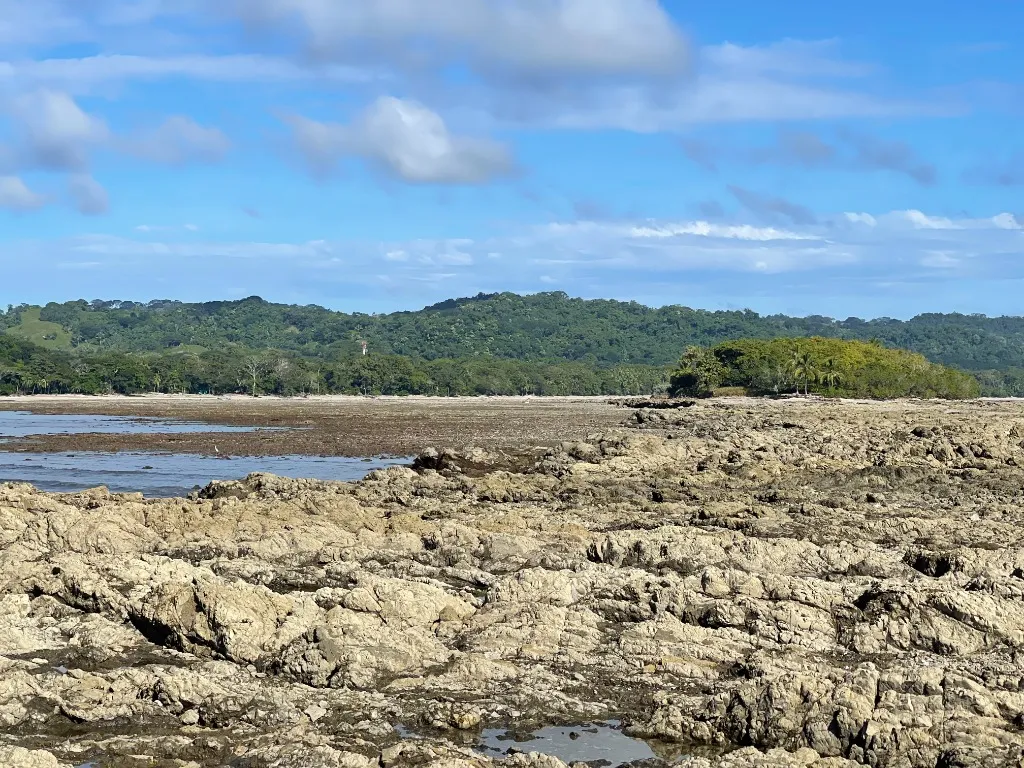 Isla de Cabuya — foto 4
