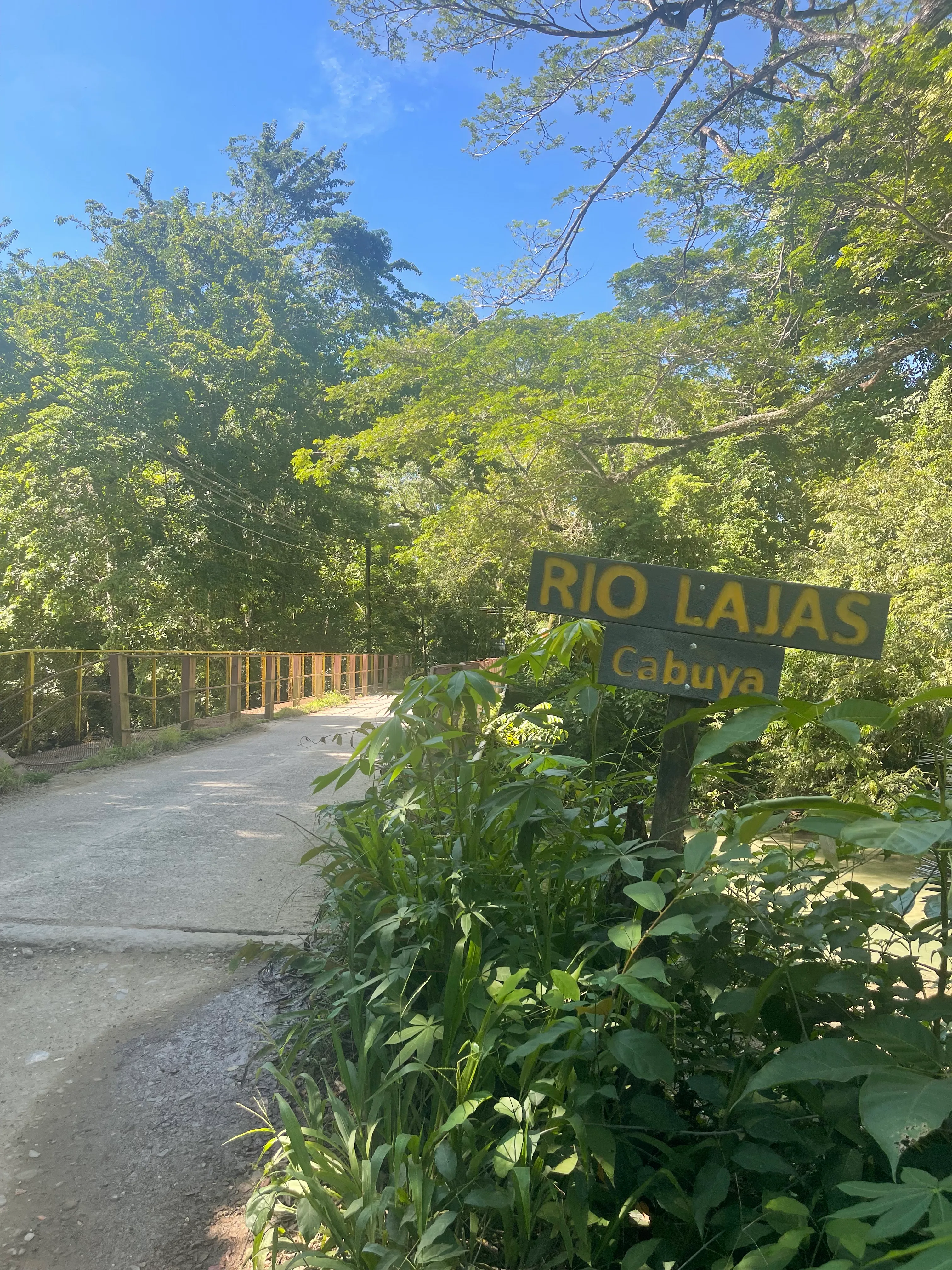 Río Lajas — foto 4