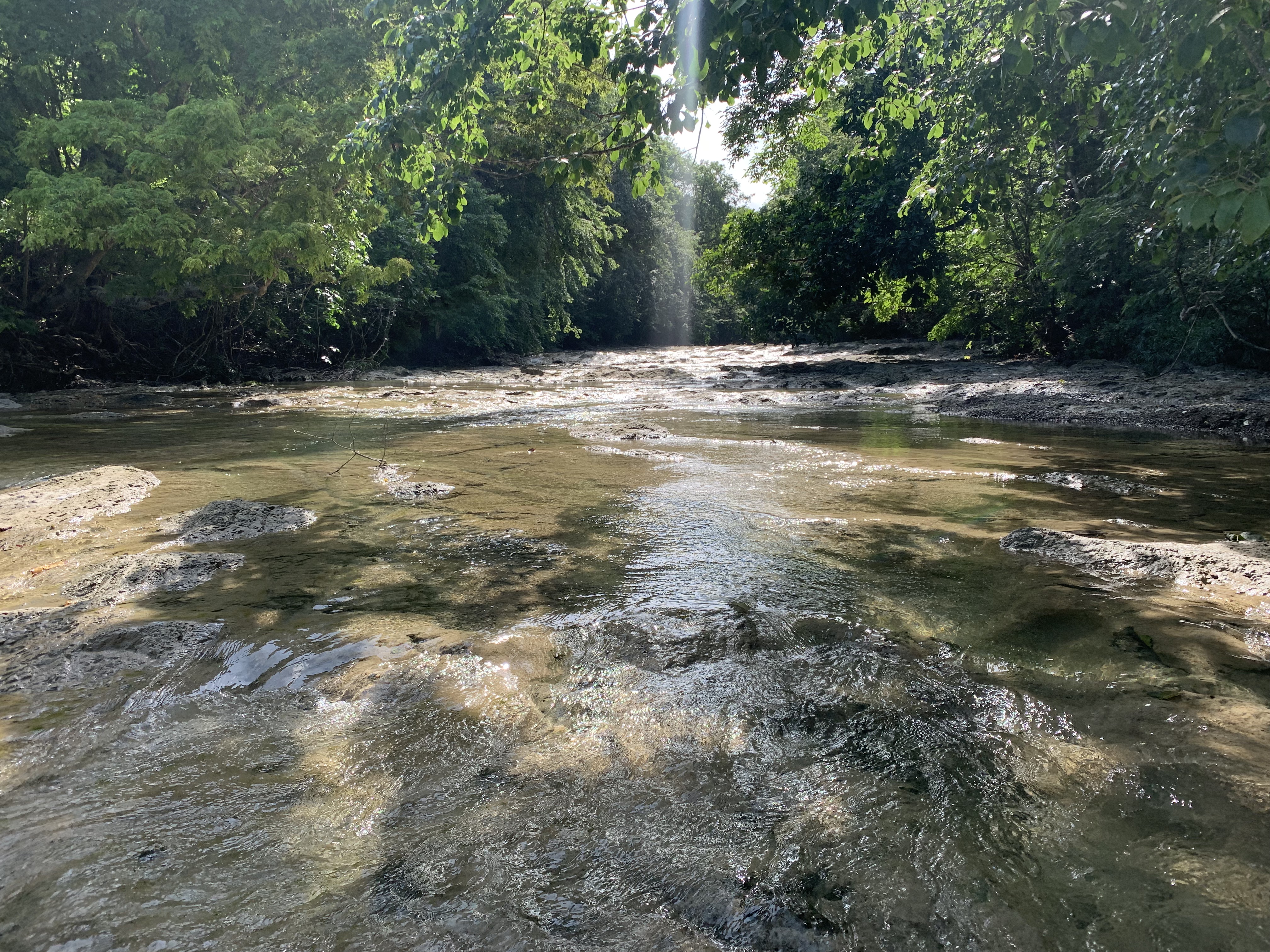 Río Lajas 1